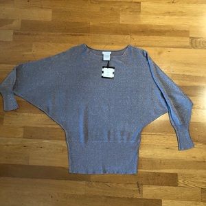Batwing Silver/glitter Sweater